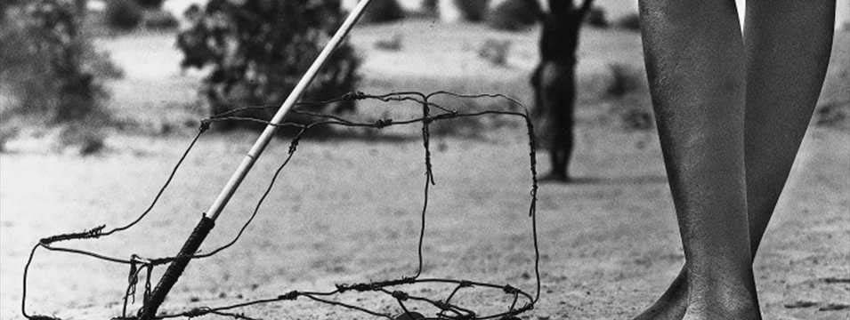 Alexis Torres Edwards